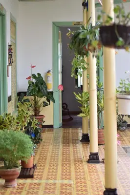 a hallway filled with potted plants in a building at Hotel Casita de Belén in Sonsón