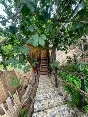 Gallery image of Akasha suites in Doradal