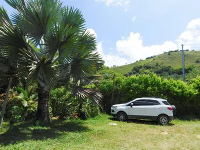 a white car parked next to a palm tree at Hostal Santa Teresita in La Merced