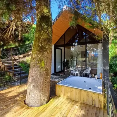 Tree House
