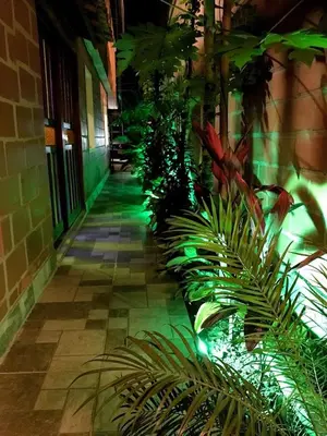 a hallway with plants and a building with green lights at Villa Luz in San Jerónimo