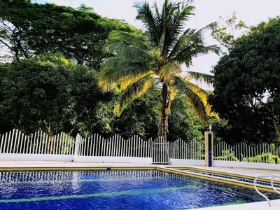 a swimming pool with a fence and a palm tree at Villa Luz in San Jerónimo
