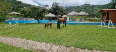a horse and a baby horse grazing in the grass at Cabaña vacacinal in Cocorná