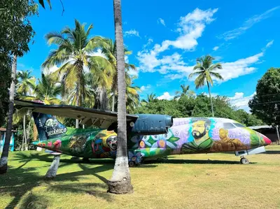 a plane parked next to a palm tree at Hotel Aero Santa Fe in Santa Fe de Antioquia