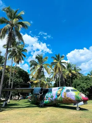 a plane parked on the grass in front of palm trees at Hotel Aero Santa Fe in Santa Fe de Antioquia