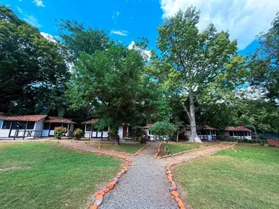 a walkway in front of a house with a tree at Hotel Aero Santa Fe in Santa Fe de Antioquia