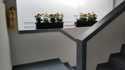 a shelf with three plants on a stair case at Hostal Lleras Calle 8 in Medellín