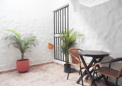 a patio with two plants and a table and chairs at Central y privado a 1km de la hacienda Nápoles in Doradal