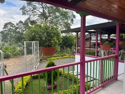 a pink balcony with a fence and flowers at La victoria in Marsella