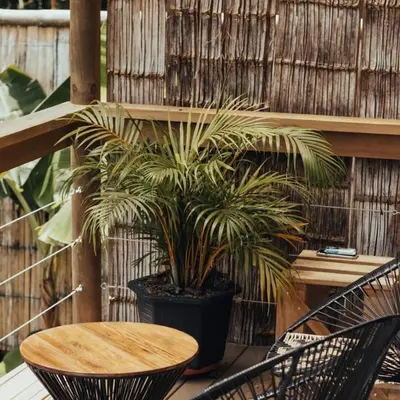 a table and two chairs and a potted plant at Cabaña Glamping San Carlos Antioquía Pun chinaw Ecocabañas in San Carlos