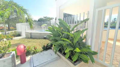 a plant sitting on the side of a house at santa fe de Antioquia pueblo apto in Santa Fe de Antioquia