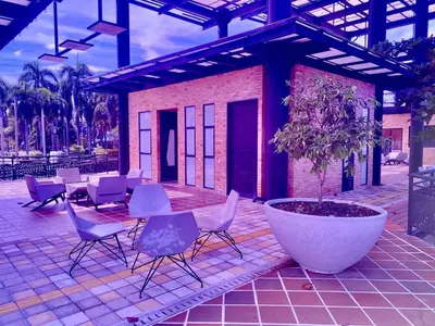 a patio with chairs and a tree in a large planter at Apartamento Encanto in Puerto Triunfo