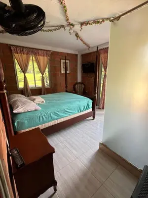 a bedroom with a green bed in a room at La Clarita in San Rafael