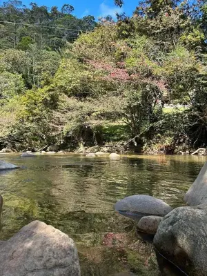 a river with some rocks in the water at La Clarita in San Rafael