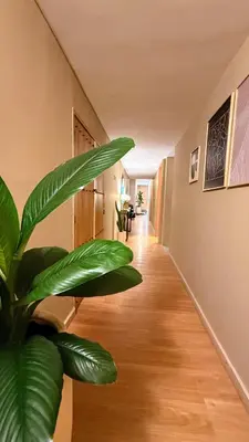 a hallway with a plant in the middle of it at M de oro Apartamentos Muuk boutique POBLADO in Medellín