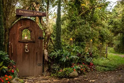 a wooden door with a sign that reads enchanted forest at Owl's Watch at Rio Blanco in Manizales
