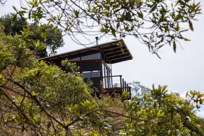 a house on top of a hill with trees at Owl's Watch at Rio Blanco in Manizales