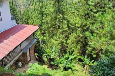 an overhead view of a house in front of a forest at Luz de Luna - Hermosa Finca Familiar con Vista Panorámica y de Aves in Cocorná