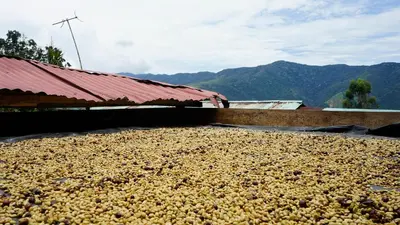a large pile of food sitting next to a building at Bosque de Oro in Apía