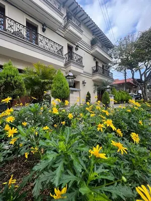 a garden of yellow flowers in front of a building at WR Boutique Hotel in Jardin