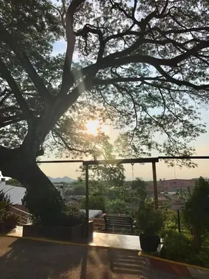 a tree with the sun in the background at Hotel Chicala salgar in Puerto Salgar