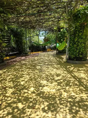 a walkway in a park with a tree at Hotel Chicala salgar in Puerto Salgar