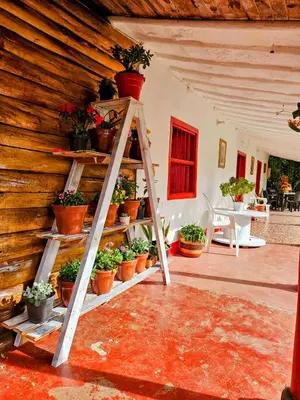 a ladder shelf with potted plants on a patio at Casa De Campo 
