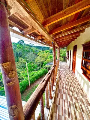a porch of a house with a view of a forest at Wayra Ecolodge in El Peñol
