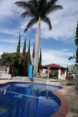 a pool with a palm tree and a blue slide at Chalet El Pinal - Copacabana in Copacabana