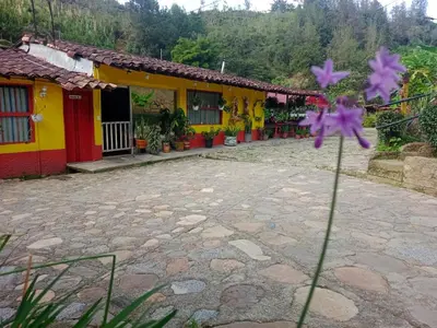 a flower in front of a building at Libélula finca-hotel in Concepción