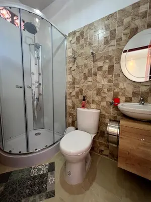 a bathroom with a toilet and a shower and a sink at HOTEL PORTAL DE VITERBO Y RESTAURANTE LA FONDA in Viterbo