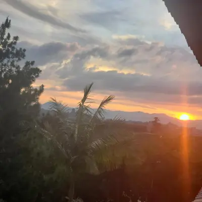 a sunset from a window with a palm tree at Cabaña sol de oriente in Marinilla