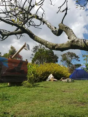 a tree leaning over a wooden structure in a field at Cabaña sol de oriente in Marinilla