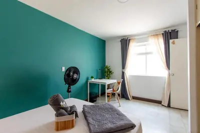 a bedroom with a bed with a green wall at CoNomad House - Coliving & Coworking in Medellín