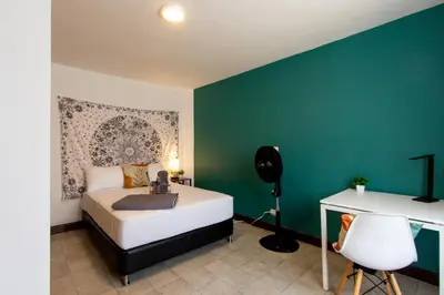 a bedroom with a bed and a green wall at CoNomad House - Coliving & Coworking in Medellín