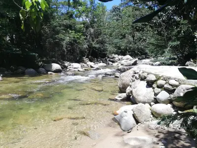a stream in the woods with rocks in the water at Hospedaje Pa'Gaïa in San Rafael