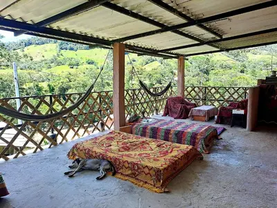 a room with a bed and a dog laying on the floor at Hospedaje Pa'Gaïa in San Rafael