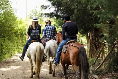a group of people riding horses down a dirt road at Nuevo Apartamento a 2 minutos del JMC jacuzzi in Rionegro