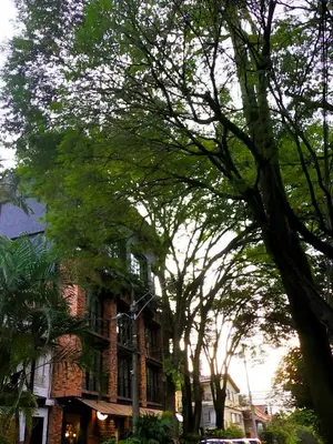 a brick building with trees in front of it at Azulejo - Guest House in Medellín