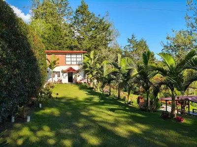 a yard with palm trees in front of a building at Desconéctate! Casa de campo con vista sensacional !!! in Rionegro