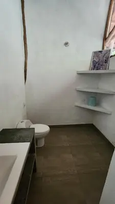 a bathroom with a toilet and a sink at Casa Kiwi Jungle Lodge in San Francisco