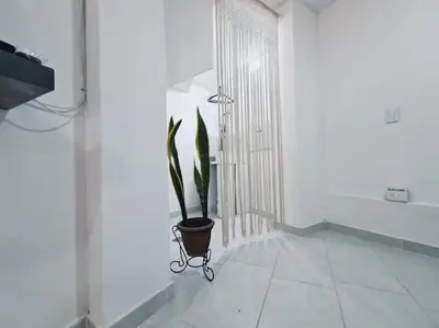 a plant in a pot in a white room at Comfy loft in Laureles in Medellín