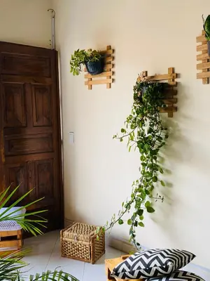 a plant hanging from a wall next to a door at Hotel Plenitud Jardín in Jardin