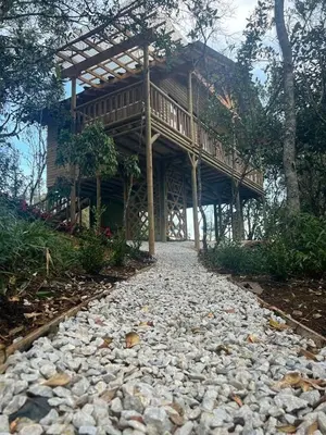 a house with a deck on top of a stone path at refugio amazonico in Rionegro