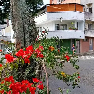 Acogedor Aparta Hotel para 3H Belén Rosales apt 202