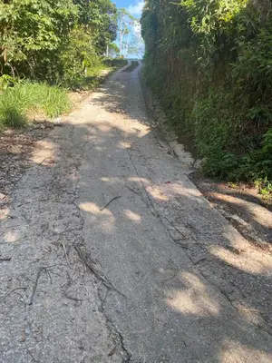 a dirt road with trees on the side of it at Cabaña Campestre EN RIO CLARO- Doradal, Antioquia in Mesa del Norte