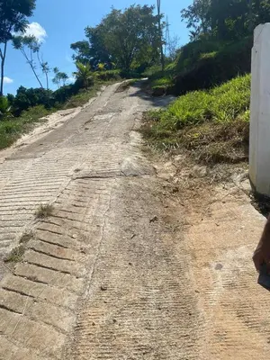 an old dirt road with trees on the side at Cabaña Campestre EN RIO CLARO- Doradal, Antioquia in Mesa del Norte