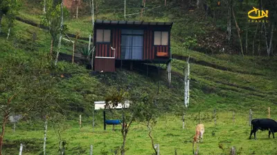 a house on a hill with cows grazing in a field at Refugio Selvatico in Guatapé