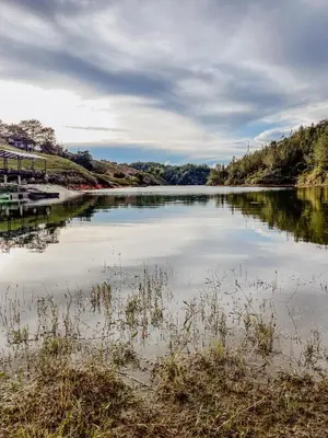 a large body of water with grass in the foreground at Refugio Selvatico in Guatapé
