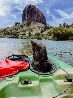 a dog sitting in a boat in the water at Refugio Selvatico in Guatapé